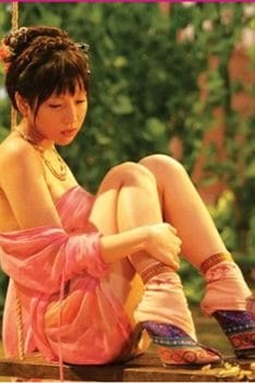 Phim Tân Kim Bình Mai 2008 2009 [Full Tập]